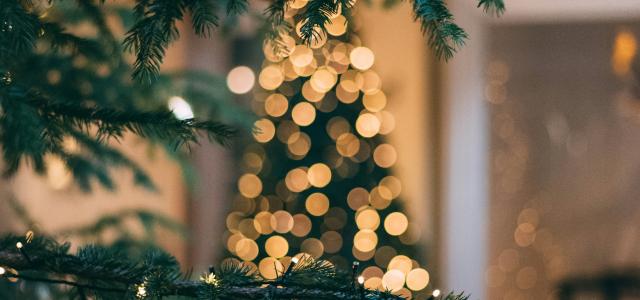 Christmas tree with string lights by Mourad Saadi courtesy of Unsplash.